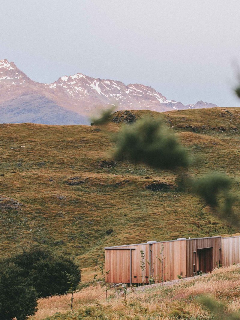 Green Zebra Restaurant & Bar photo 8