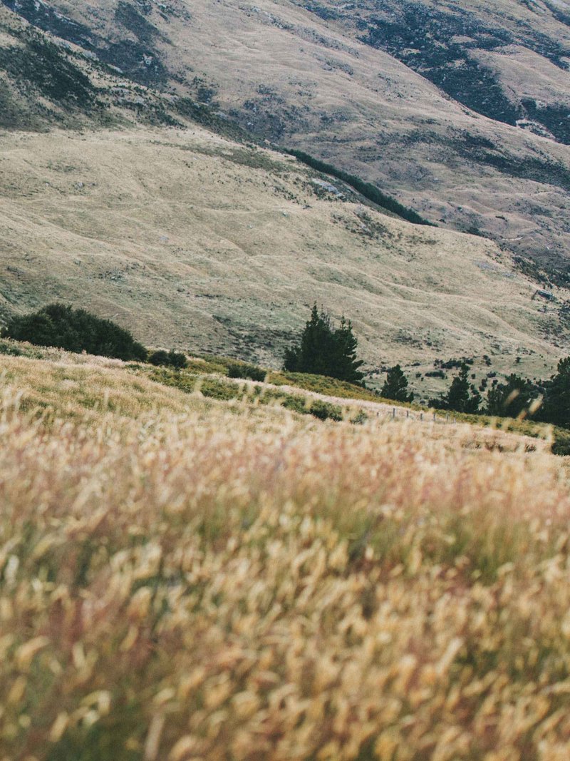 Green Zebra Restaurant & Bar photo 7